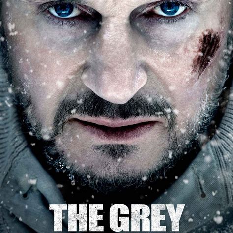 list of movies starring liam neeson